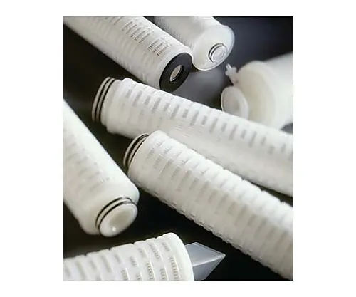 61-0223-62　Polygard-CN购物车10英寸。1.2μm代码0 PTFE-EV 6/Pk 6 x1ST　CN1201T06