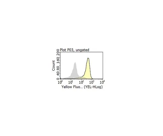 62-8492-73　抗整合素α5β1抗体，克隆BMA5　MAB1984-I