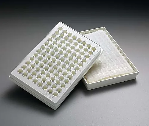 61-0211-24　多屏HTS HV 0.45μm不透明非无菌50/Pk50PK　MSHVN4B50