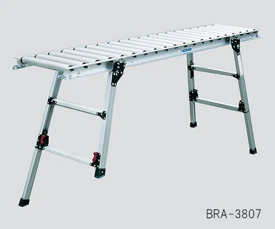 3-5219-01　［已停用］桥式输送机　BRA-3807