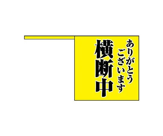 62-6105-79 Thank you for the crossing flag. Crossing. 832-04