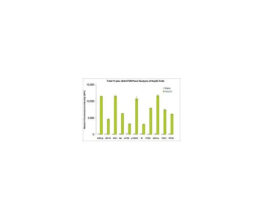 62-8538-56　MILLIPLEX MAP Total Akt/mTOR Profiler磁珠11Plex套件;1个套件　48-612MAG