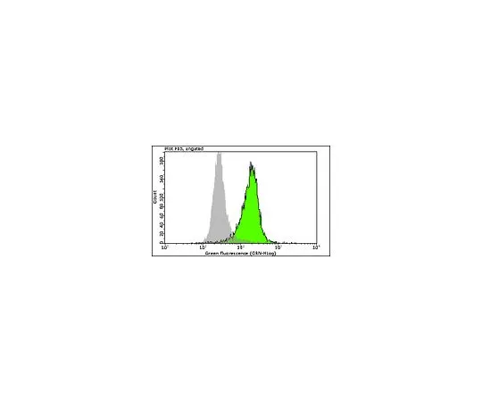 62-8483-90　抗磷-SMC1 (Ser957) ，克隆5D11G5Alexa Fluor (R) 488共轭;100次测试　FCMAB108A4