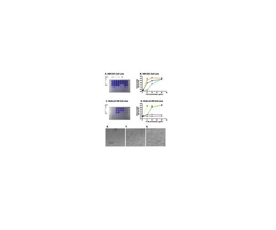62-8481-94　ECM细胞培养优化阵列(比色法，48-Wells)　ECM542