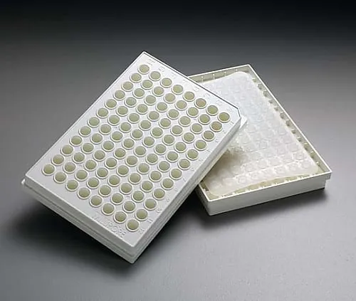 61-0211-27　多屏HTS IP 0.45μm不透明非无菌50/Pk50PK　MSIPN4B50