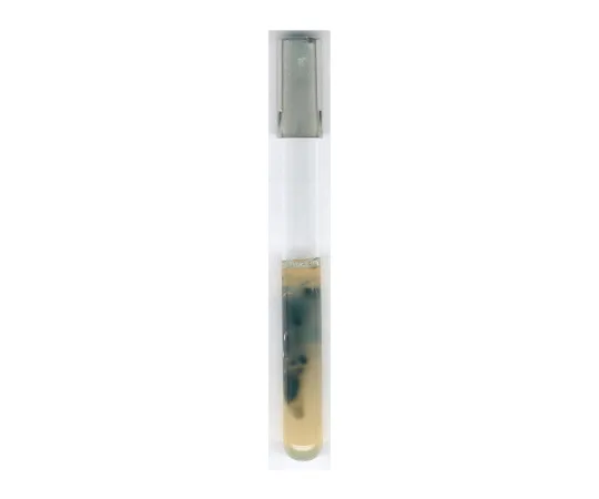 61-0204-44　亚硫酸铁琼脂基础微生物培养基110864 500G　1.10864.0500