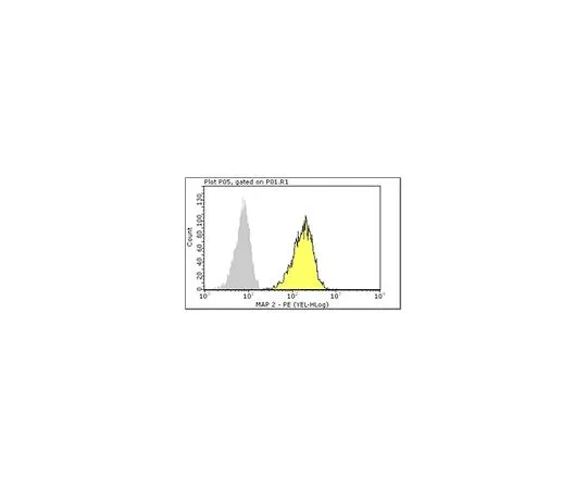 62-8485-10　Milli-Mark (TM) 抗MAP2-PE,克隆AP20;100次测试　FCMAB318PE