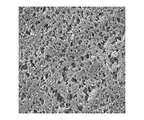 61-0196-14　尼龙盘亲水性0.45μm 25 mm宽Pln 100/Pk100PK　HNWP02500