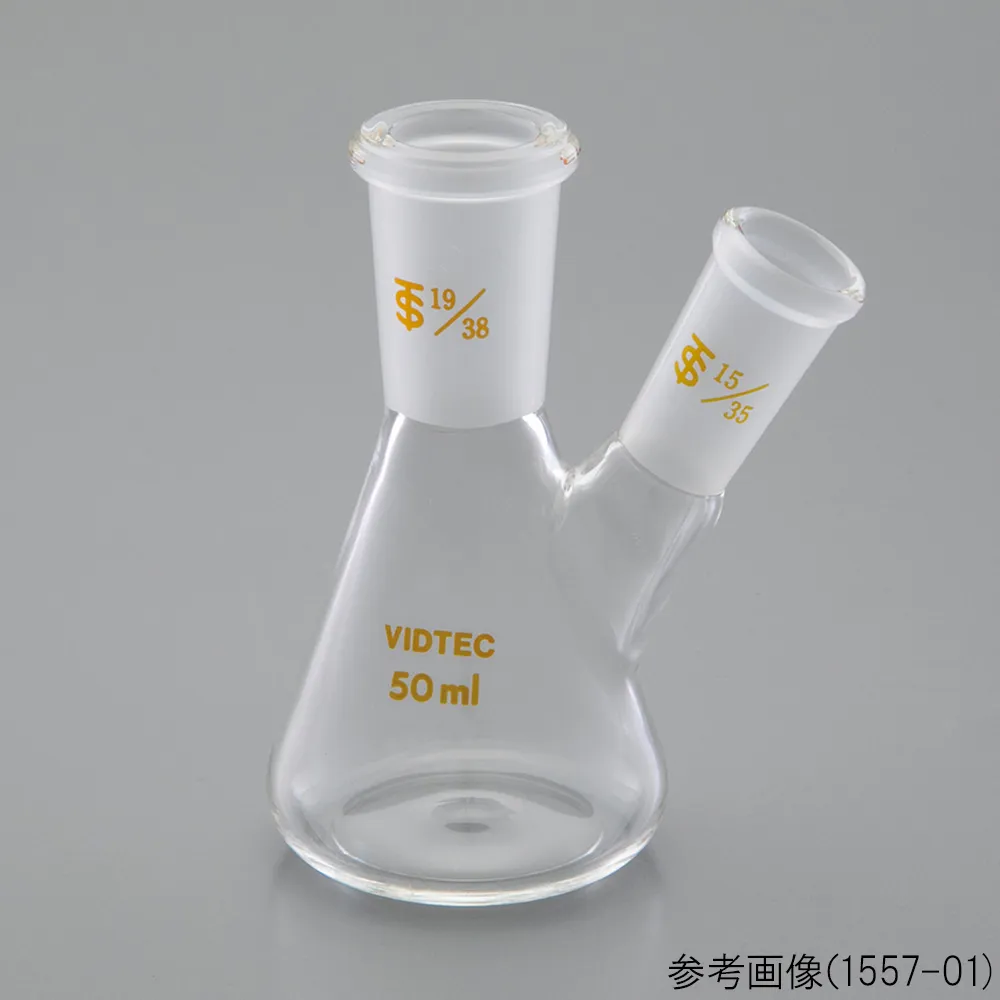 65-6819-69　Two-necked Erlenmeyer Flask 50 mL 19/38-15/35　1557-01