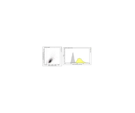 62-8526-97　抗α-肌动蛋白抗体，心肌抗体，克隆22D3　MABT823
