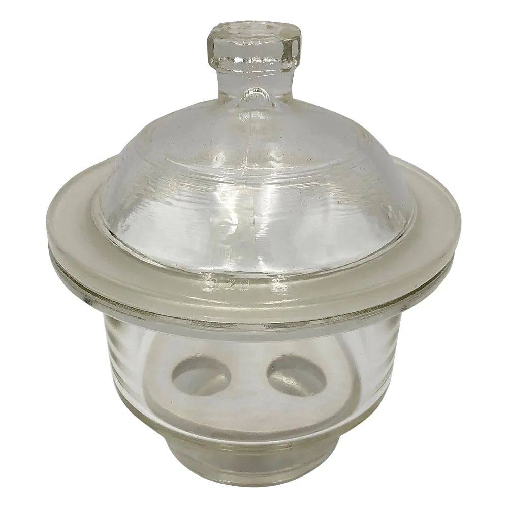 1-4413-21　干燥器 (标准型)　CL62930-01