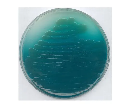 61-0202-02　微生物假单胞菌琼脂P培养基110988 500G　1.10988.0500
