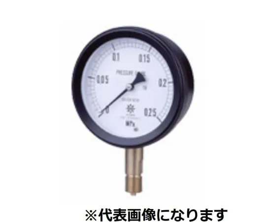 65-3633-88　MPP Plastic Sealed Pressure Gauge Core Section SUS A Type φ75 R3/8 0~0.06MPA　S-ATR38-750.06MPA
