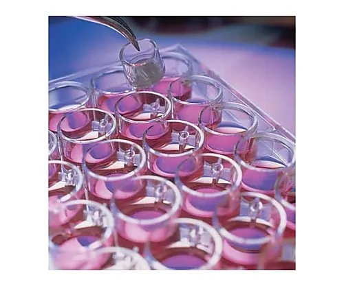 61-0205-21　插入12 mm PCF 0.4μm 50/Pk50PK的Millicell细胞培养　PIHP01250