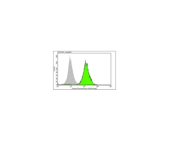 62-8496-71　抗核细胞，克隆3E1.3;100μg　MAB4383