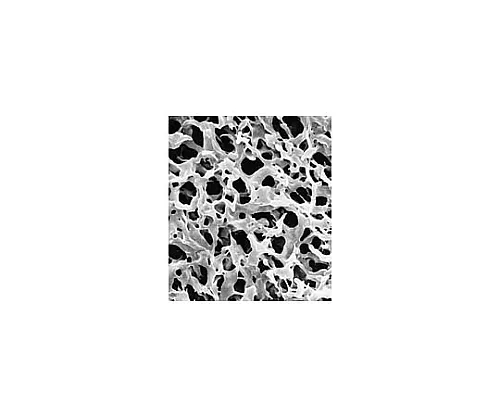 61-0202-85　Durapore Disc PVDF Phobic 0.45μm 90 mm Wh Pln 50/Pk50PK　HVHP09050
