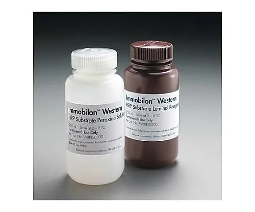 61-0205-40　固定化Western化学发光HRP基质，2x250mL1SET　WBKLS0500