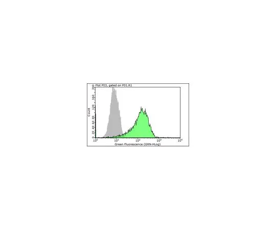 62-8493-07　抗整合素β4克隆ASC-8;100μg　MAB2059