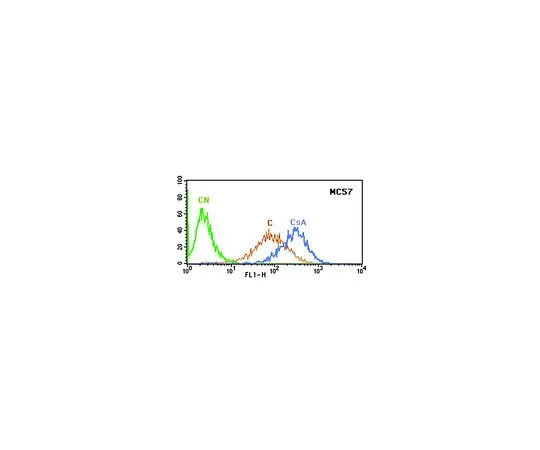 62-8496-20　抗MDR1,细胞外人特异性Pgp,克隆MC57;100μg　MAB4163