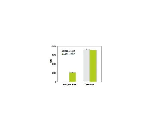 62-8538-59　MILLIPLEX MAP2PlexTotal/Phosphe ERK MAG Kit　48-619MAG