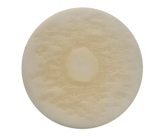 61-0204-08　TGE琼脂微生物培养基 (胰蛋白酶-葡萄糖-肉提取物琼脂培养基) 110128 500G　1.10128.0500