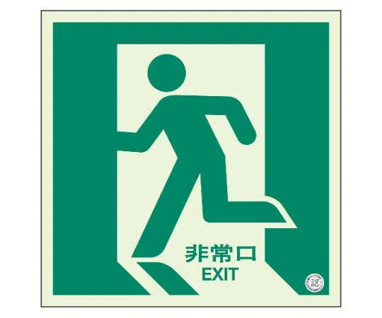 62-6089-74 Floor Guide Sign Emergency Exit (facing left) luminous 829-10A