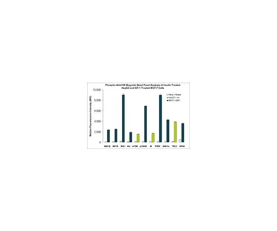 62-8538-55　MILLIPLEX MAP Akt/mTOR Phosphoprotein Magnetic Bear 11 Plex Kit;1个套件　48-611MAG
