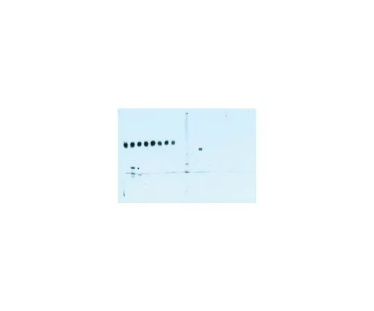 62-8534-64　印迹恢复膜修复套件，10x;1个套件　2520