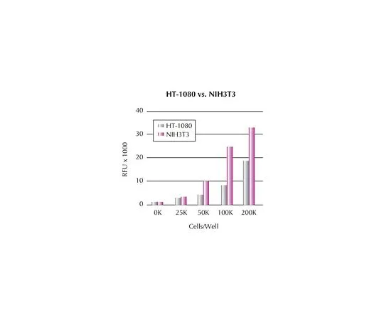 62-8481-86　QCM趋化性 (8μm) 24井细胞迁移测定，荧光测定;1个盘子　ECM509