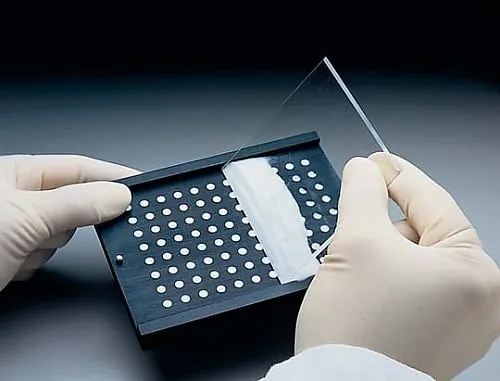 61-0208-56　多荧幕ColLdr-25公厘Blk AluminonNon-Sterile1/ Pk1PK　MACL09625