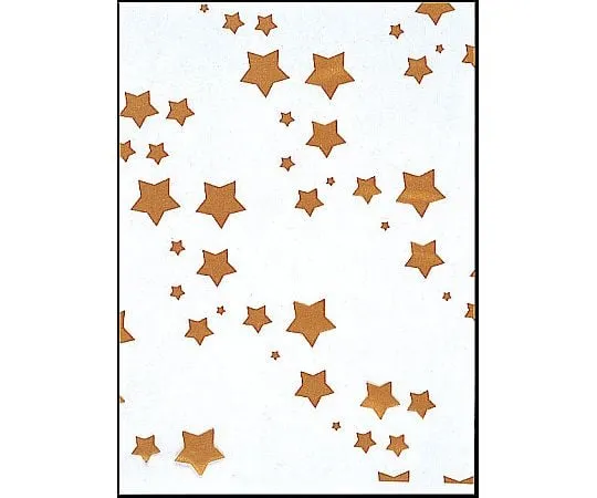 62-6656-08　SK Bag Star (100 Pieces)　No.6