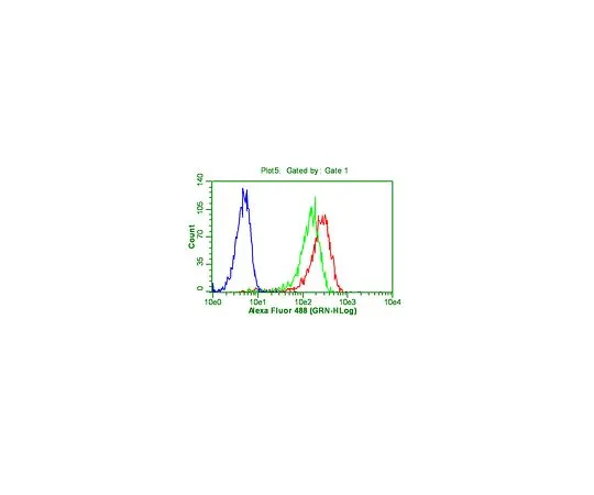 62-8496-88　抗OCT-4 [POU5F1] ，克隆7F9.2;100μg　MAB4419