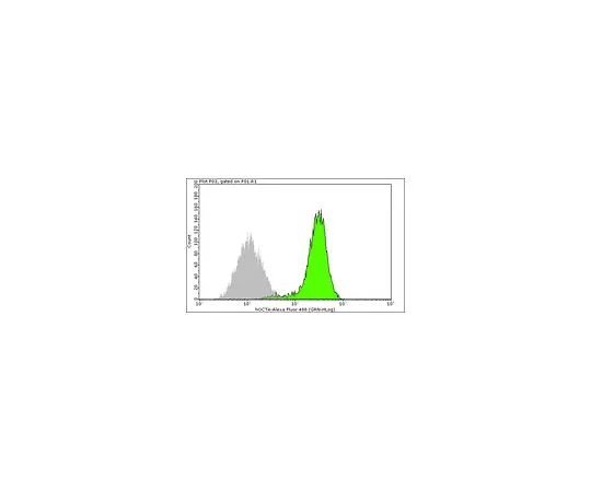 62-8483-94　抗Oct-4,克隆10H11.2 Alexa Fluor (R) 488共轭;100次测试　FCMAB113A4
