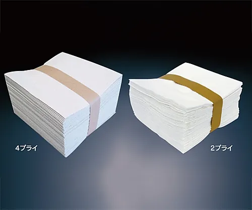 61-0085-75　Noah Eco擦拭4个PLY Brown 50个套装x 24个套装　103471