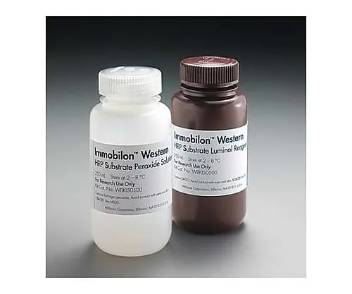 61-0195-53　固定化Western化学发光HRP基质，2×50mL1SET　WBKLS0100