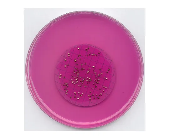61-0201-86　膜滤器:微生物用Endo琼脂培养基LES 111277 500G　1.11277.0500