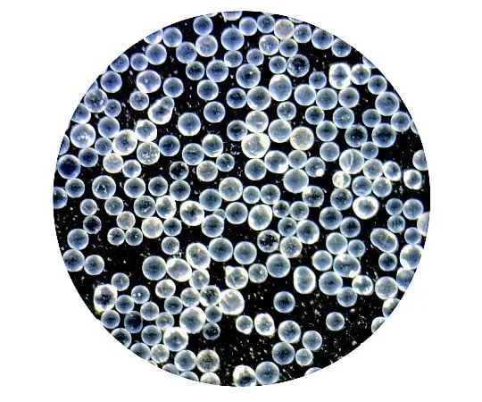 62-1343-81　AS玻璃珠 (用于 破的磨料) 典型颗粒直径:125-150μm　UB-120