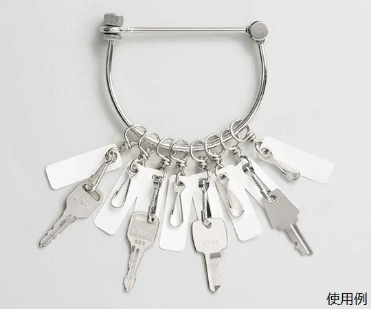 62-6112-41 With 12 Key Hanger Snaps 860-611