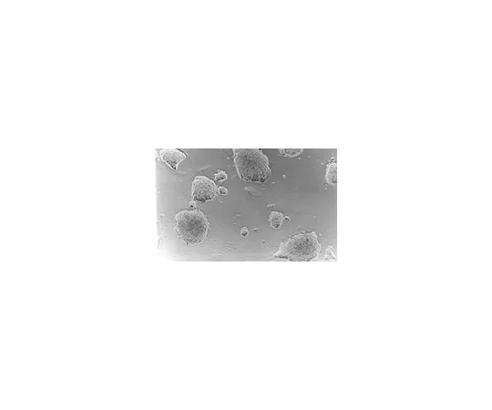 62-8482-68　ESGRO (R) (LIF);106个单位　ESG1106