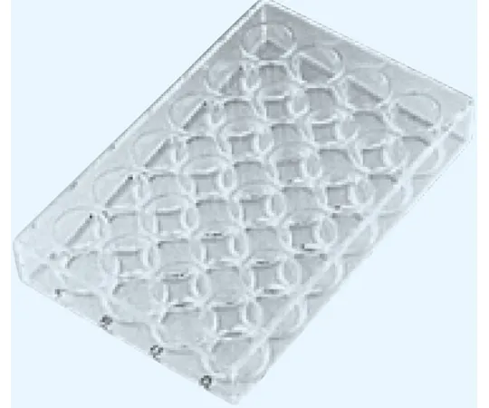 65-8686-80　Glass Microplate 24 Hole Borosilicate Glass (JR-1)　B-2