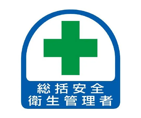 62-6145-35 Helmet Sticker General Safety and Health Manager 851-01