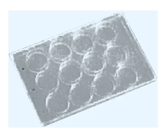 65-8686-81　Glass Microplate 12 Hole Borosilicate Glass (JR-1)　B-4