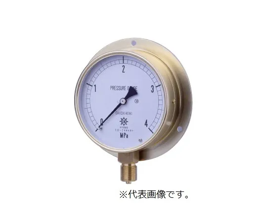 67-4847-77　HNT General Purpose Pressure Gauge (for Steam/M) BMT3/8-75:0.5MPA　0354-01-0018030