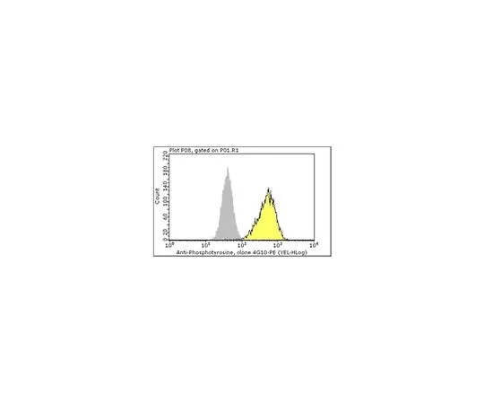 62-8485-13　Milli-Mark (TM) 抗磷酪氨酸-PE,重组克隆4G10R;100次测试　FCMAB323PE
