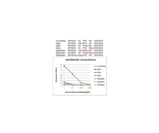 62-8507-78　抗磷RNA Pol II (Ser7) ，克隆3D4A12　MABE955
