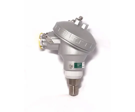 65-4329-02-20　Pressure Transmitter Analog Output 4~20 mA DC 0.5 MPa with Inspection Certificate　KH15-K34