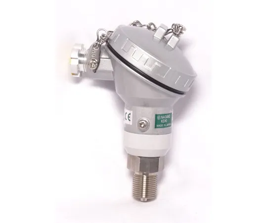 65-4328-61-20　Pressure Transmitter Analog Output 4~20 mA DC 0.1 MPa with Inspection Certificate　KH15-J33