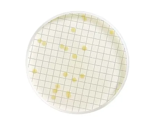 61-0199-10　TGE溴脱水瓶110G1/ Pk1ST　MB000000T