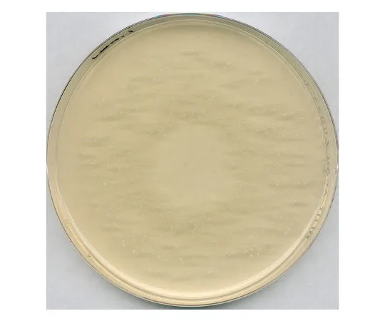61-0199-44　用于微生物学的罗戈萨琼脂培养基，乳酸杆菌的选择性分离和真菌数量测量105413 500G　1.05413.0500