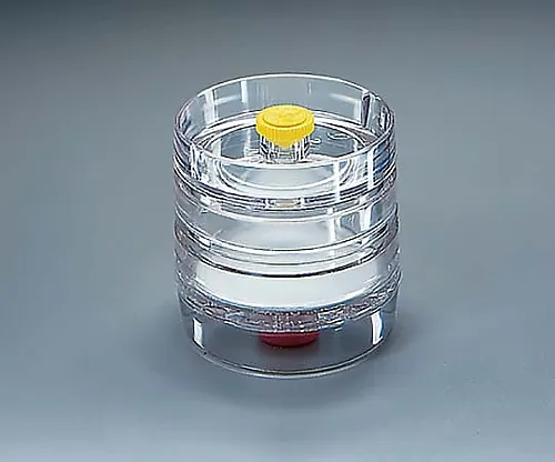 61-0202-12　空白37 mm显示器底座W/Ringandplugs 50/Pk50PK　M000037A0